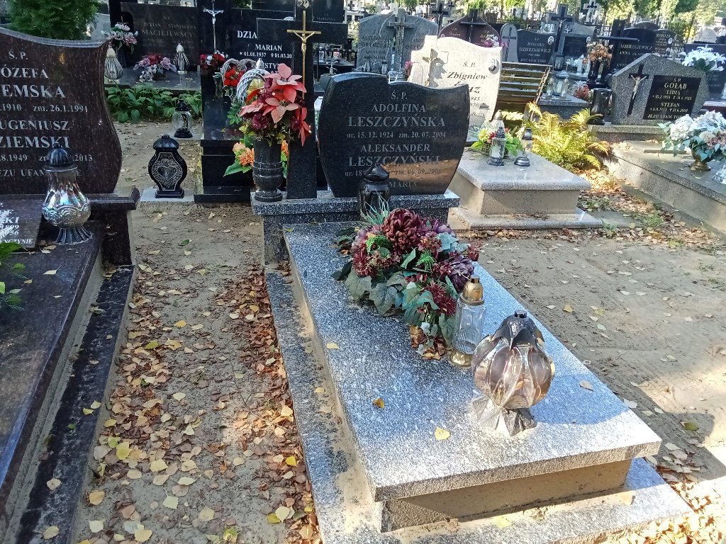 Grób Aleksander Leszczyński